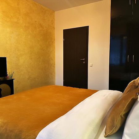Apartament “La Iepure” براشوف المظهر الخارجي الصورة